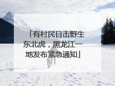有村民目击野生东北虎，黑龙江一地发布紧急通知